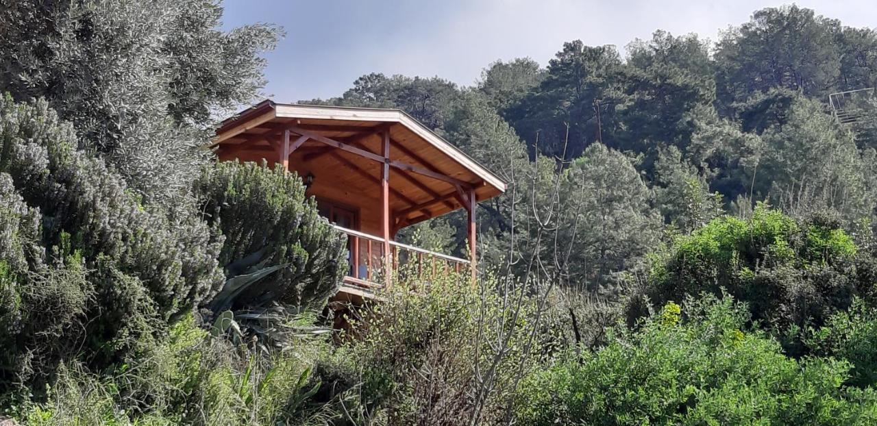 Apartmán Casa Roja Cedit Exteriér fotografie
