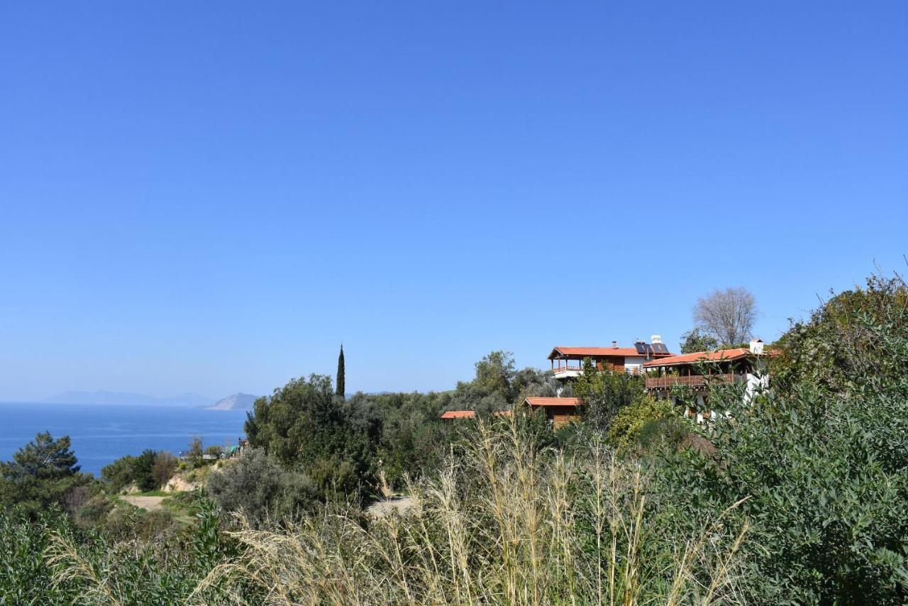 Apartmán Casa Roja Cedit Exteriér fotografie