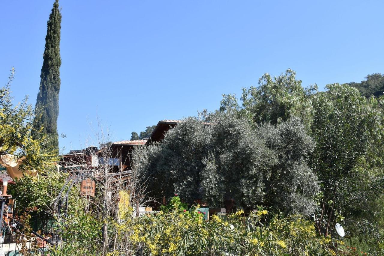 Apartmán Casa Roja Cedit Exteriér fotografie