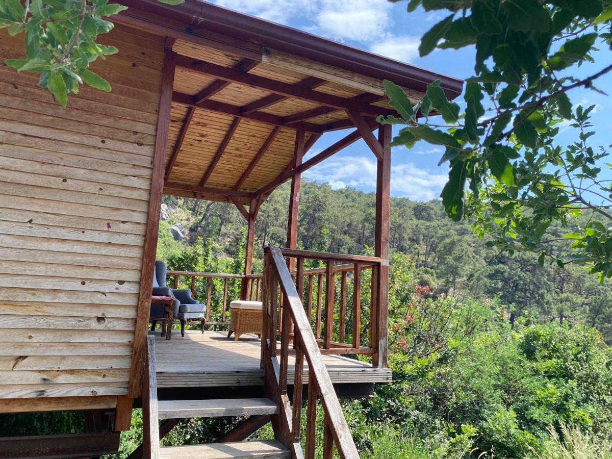 Apartmán Casa Roja Cedit Exteriér fotografie