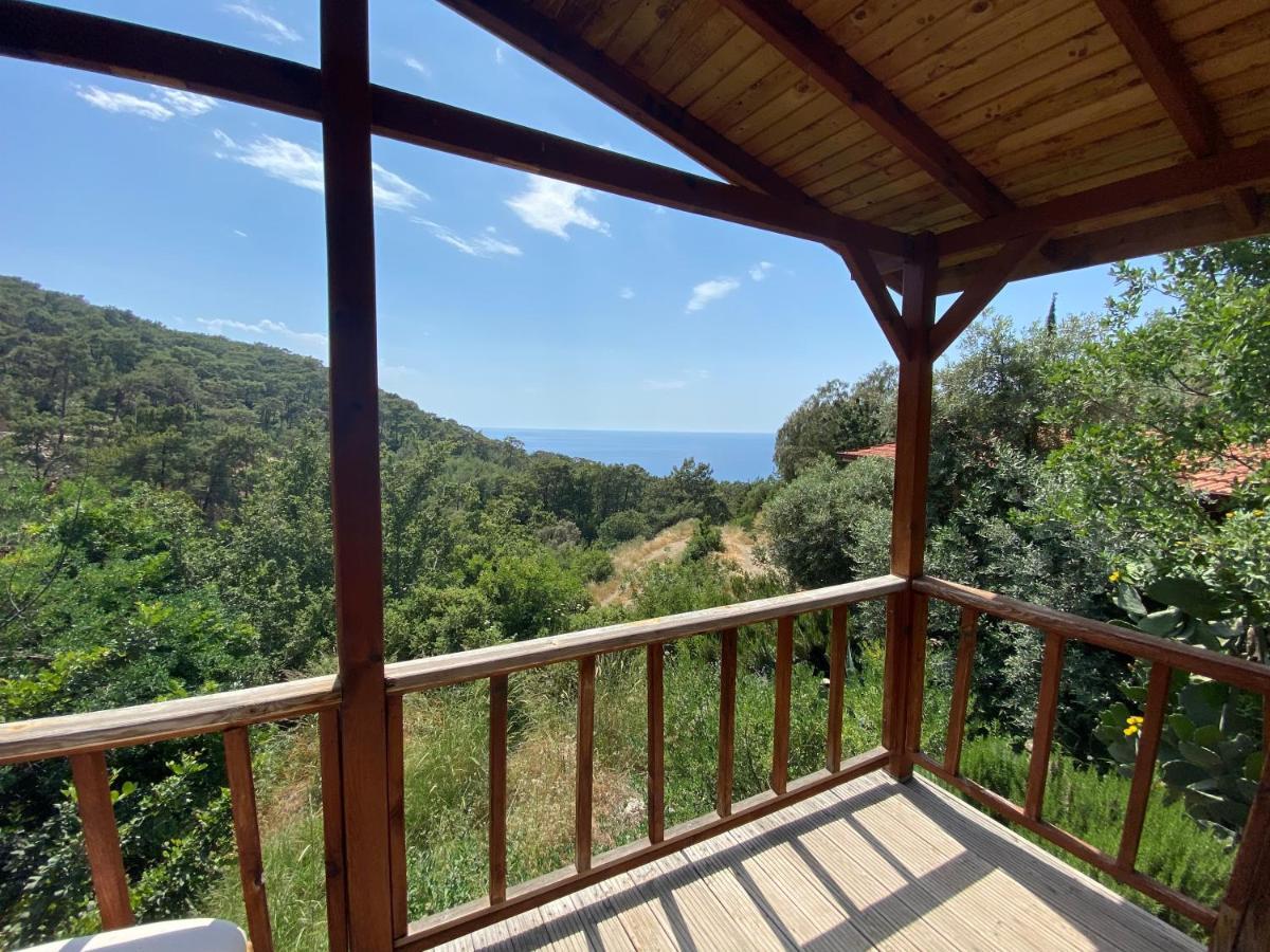 Apartmán Casa Roja Cedit Exteriér fotografie