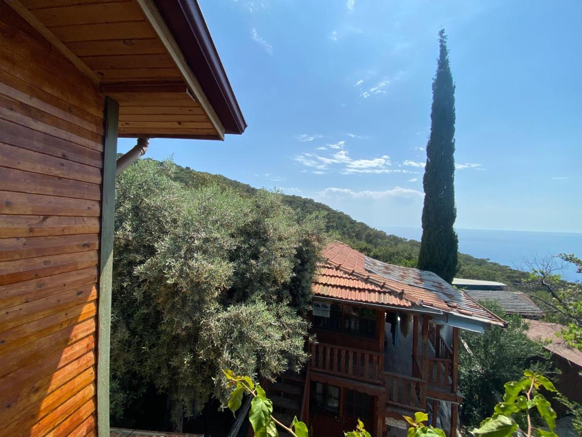 Apartmán Casa Roja Cedit Exteriér fotografie