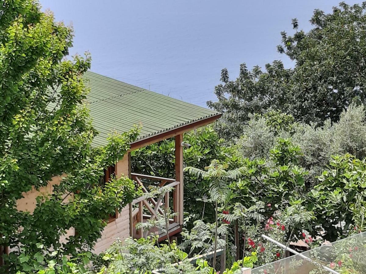 Apartmán Casa Roja Cedit Exteriér fotografie